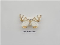 藏品(尺蛾592.1)的圖片